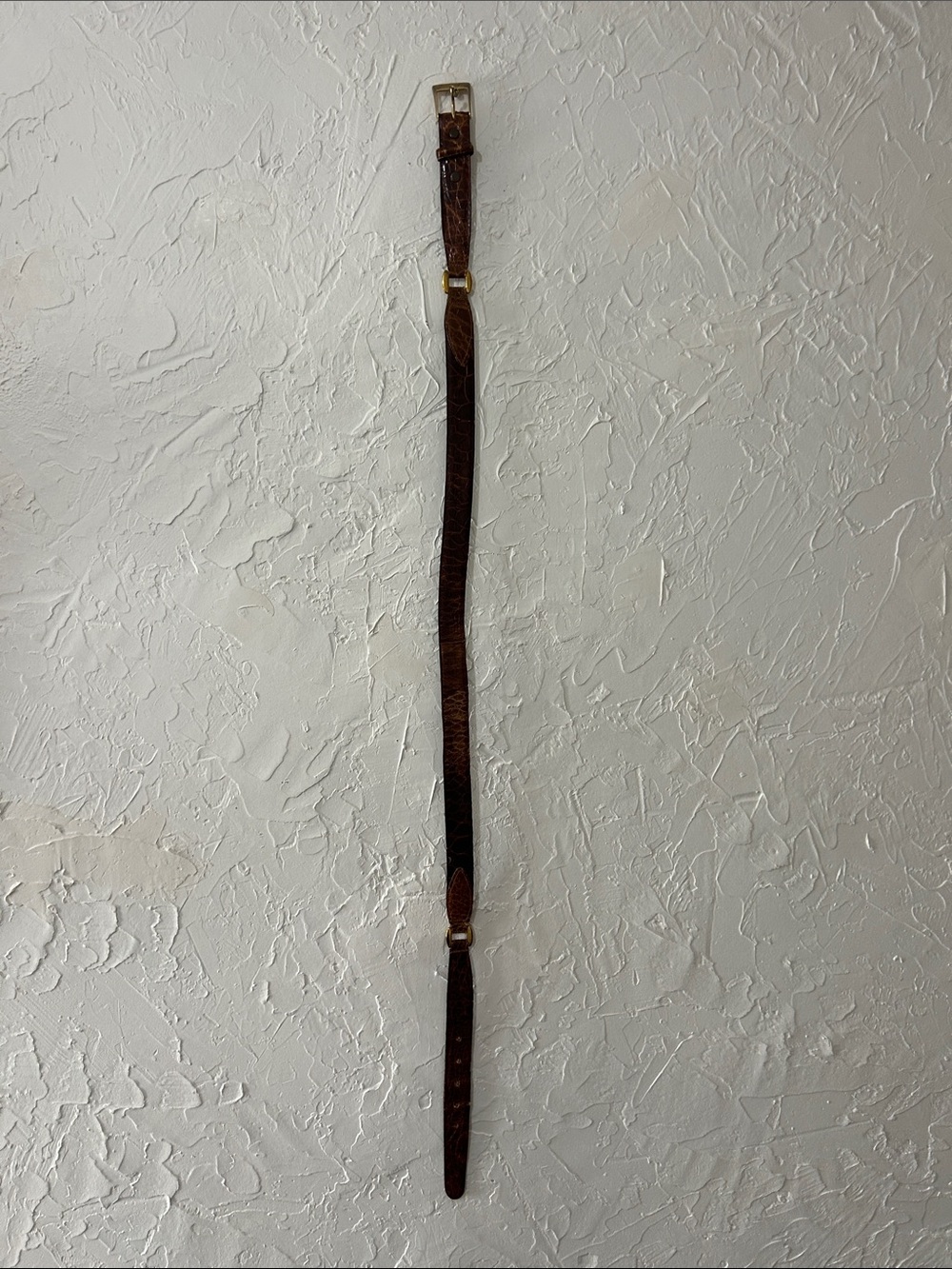 Brown Leather Imported Sea Turtle Belt